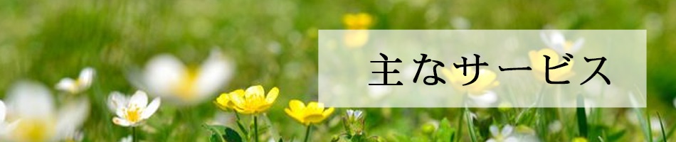 主なサービス